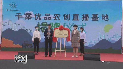 呂藝鎮(zhèn)啟動紅色高家渡文化旅游暨萬壽菊賞花活動，以花為媒深化文化藝術(shù)交流